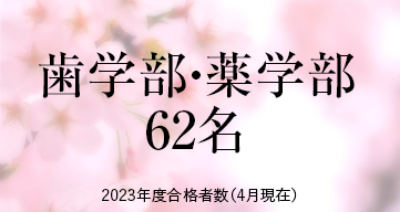 歯薬獣医 ※2023年度合格者数（4月現在）